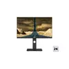 Монитор 24" DAHUA DHI-LM24-P301A 2K