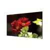 HIKVISION DS-D2049LU-Y