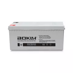 Аккумулятор AOKLY 6-GFM-200 AGM 12V 200Ah