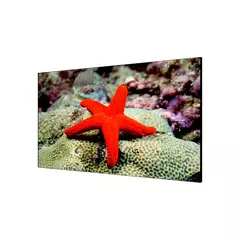 Дисплей для видеостен HIKVISION DS-D2055LE-G