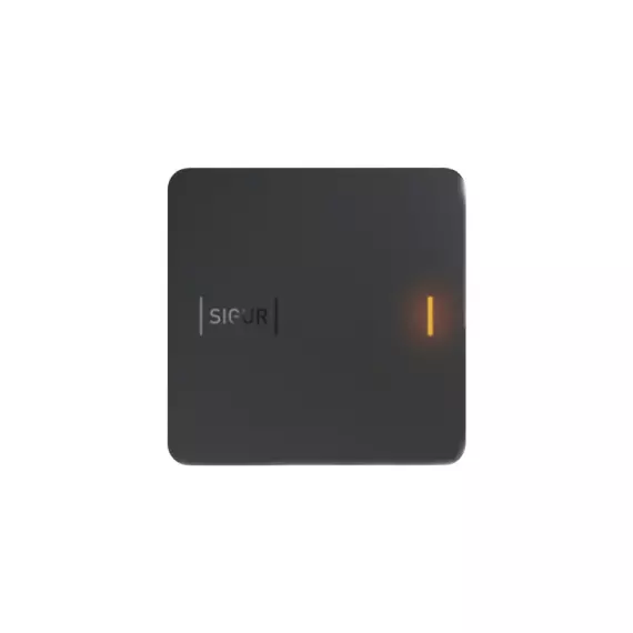 Считыватель Sigur MR100 Lite(MR1)