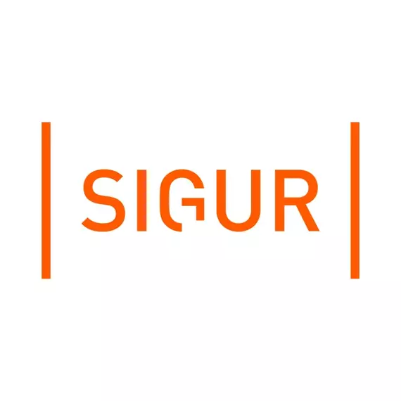 Sigur ПО Стандарт