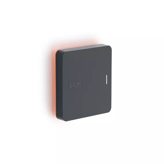 Считыватель Sigur MR100 Multi