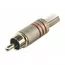 Разъем штекер RCA Rexant металл под винт черный/красный 14-0410